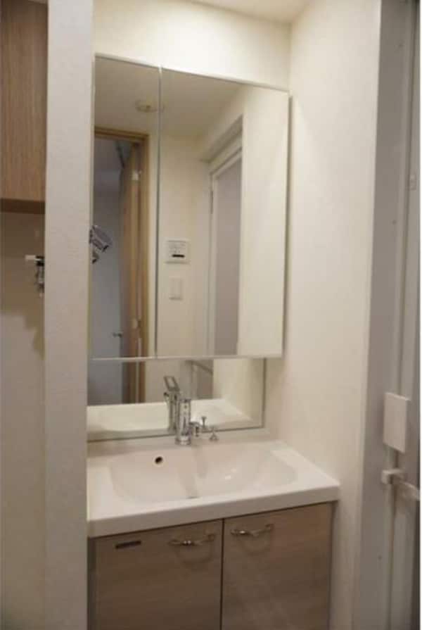 洗面・脱衣所(他のお部屋の参考写真となります。)