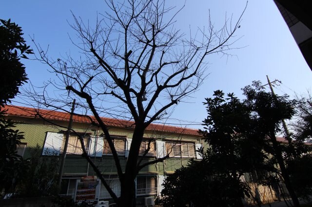 物件内観写真12　(他のお部屋の参考写真となります。)