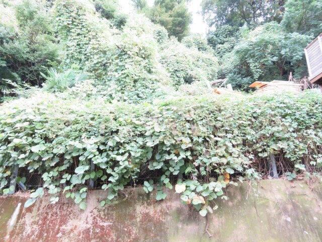 物件内観写真29　