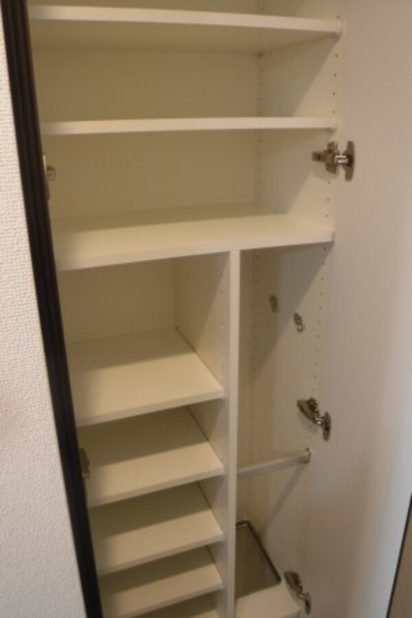 玄関(反転タイプのお部屋の参考写真です。)