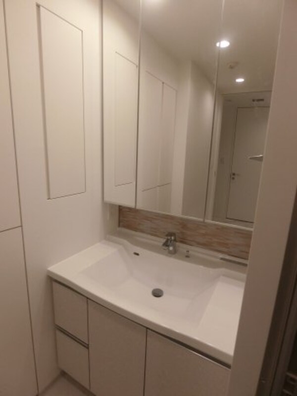 洗面・脱衣所(他のお部屋の参考写真となります。)