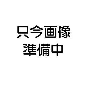 仮)丸岡町八ツ口新築外観写真