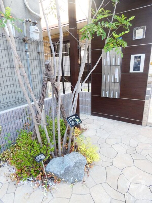 植栽