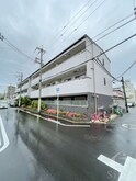 エヴァーホワイト