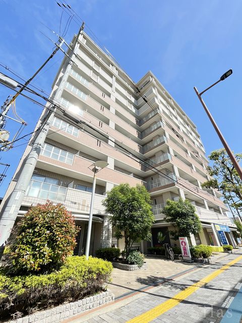 コプリー　キタハナダ