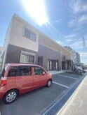 アムール葛の葉