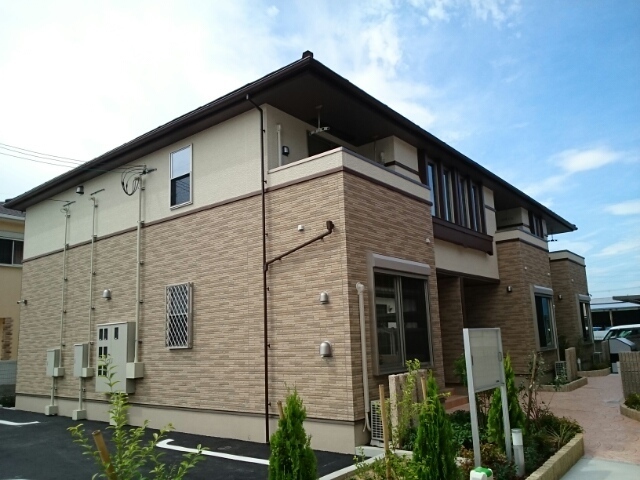 アムール葵