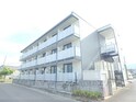 ペルーラ春風