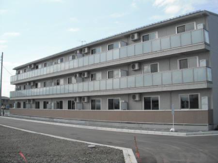 カンパーレ　T