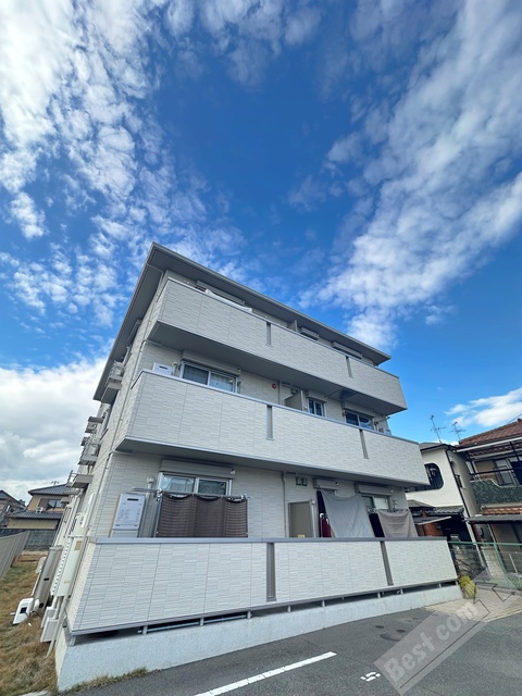 セレナイト