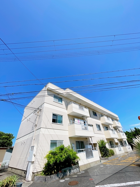 ネオライフ阪南