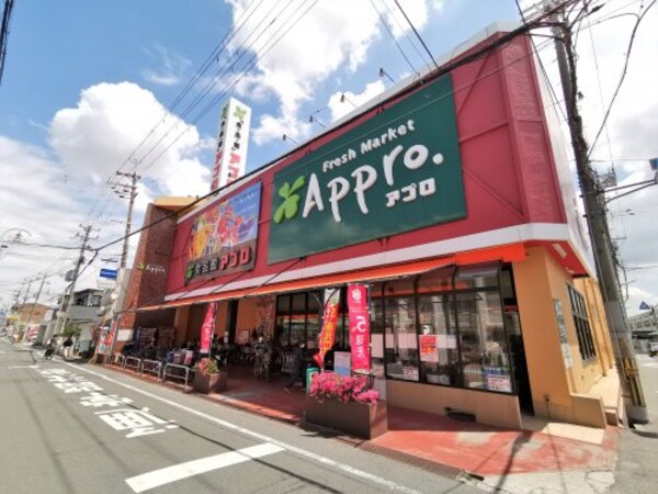 周辺環境(【スーパー】食品館アプロ 岡店まで216ｍ)