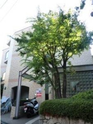 ヴィヴレコート外観写真