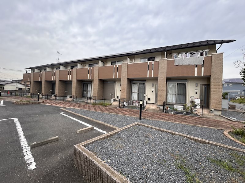 クリザンテーモ　II