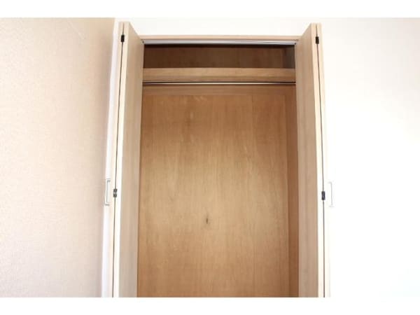 収納(クローゼットタイプの収納です。)