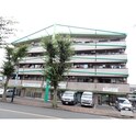 グリーンクレスト