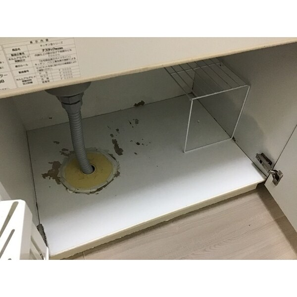 内装他