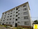 市川中山団地8号棟