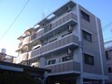 ピアオリーブ