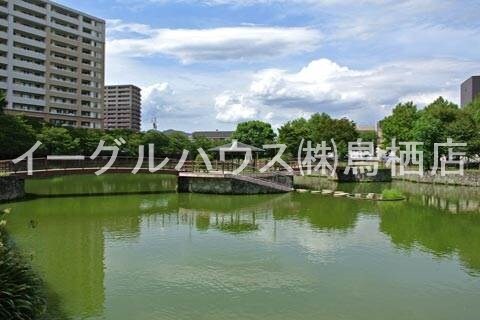 物件内観写真17　(中央公園/4195m)