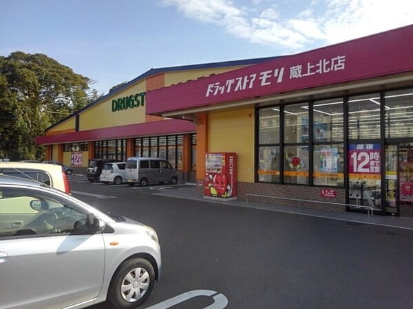 その他(ドラッグストアモリ蔵上北店まで830m)