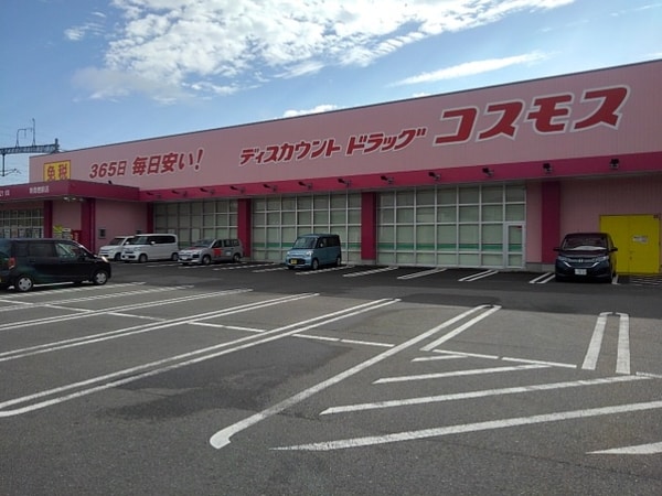 その他(ドラッグコスモス新鳥栖駅店まで920m)