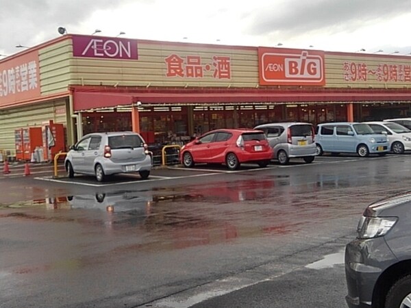 その他(ザ・ビッグ中原店まで1290m)