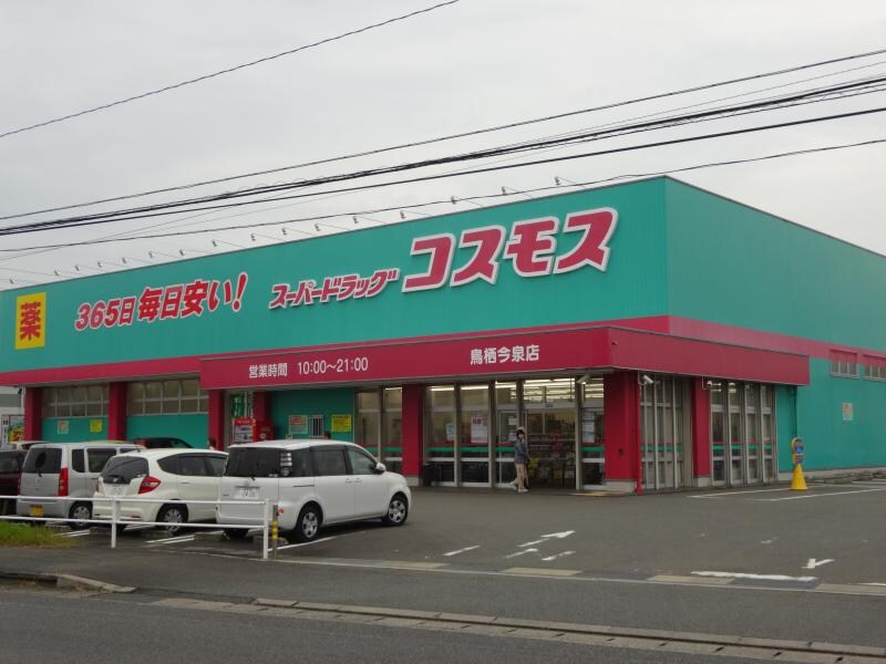 ﾃﾞｨｽｶｳﾝﾄﾄﾞﾗｯｸﾞ ｺｽﾓｽ 鳥栖今泉店