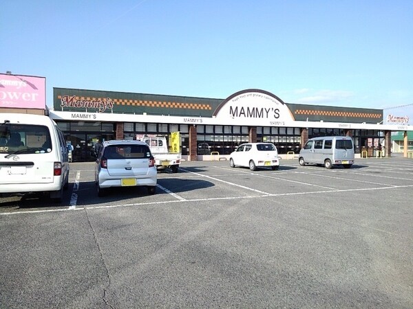 その他(マミーズ大刀洗店まで1620m)