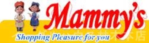 その他(マミーズ大刀洗店/5236m)