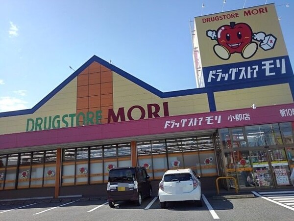 その他(ドラッグストアモリ小郡店まで870m)