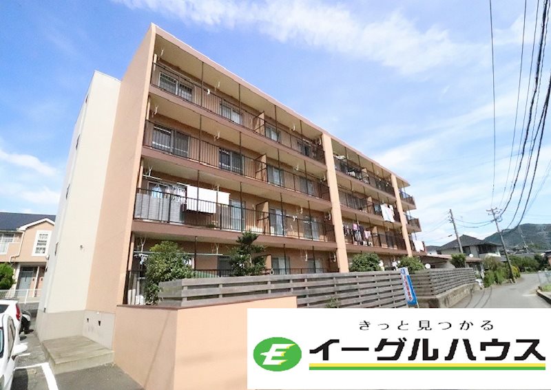 セルサス21