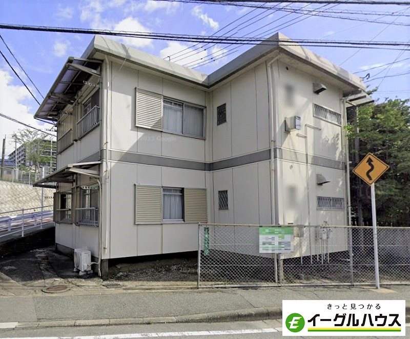アイビス紫