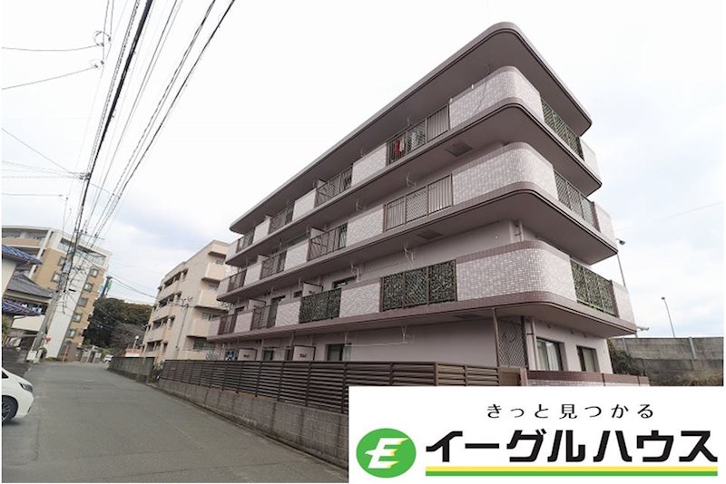 シャトレ針摺
