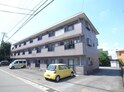 ハミルトン21