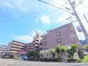 ネオハイツ石山312