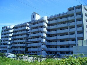 ライフアベニュー城山三番館外観写真