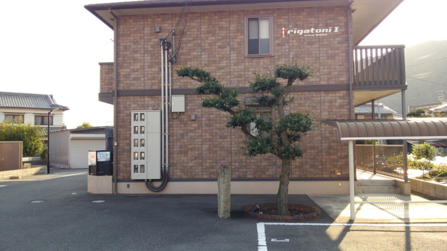 リガトーニ　ワン