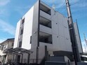 ブルーベル