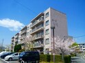 香里三井団地
