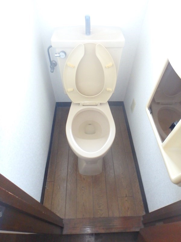 トイレ(他号室写真代用)
