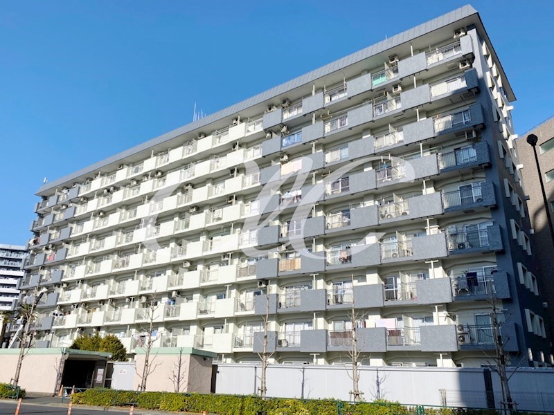 関屋ステーションハイツ