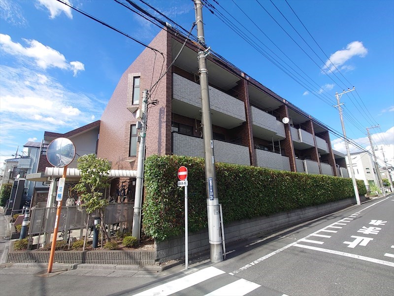 コージーコート
