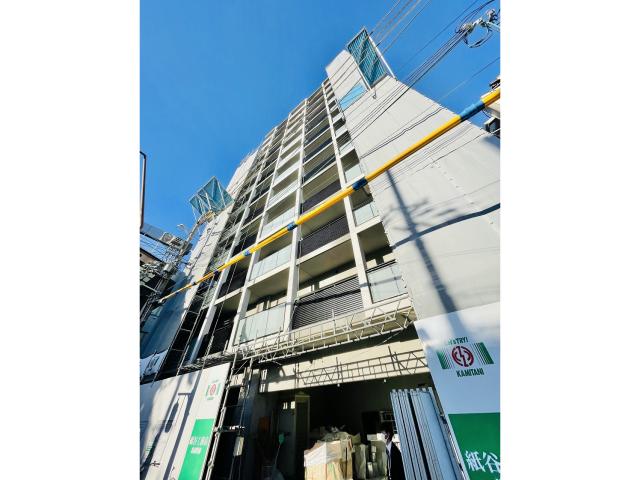 クローバーマーレコウベ