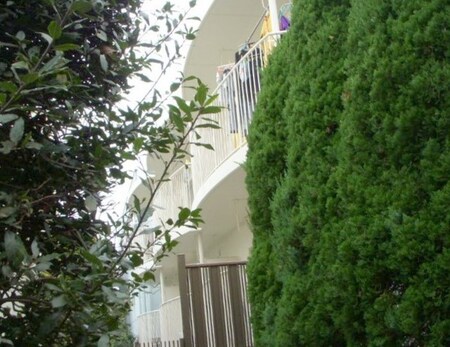 桜上水ハイツ外観写真