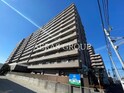 ルビアス野田
