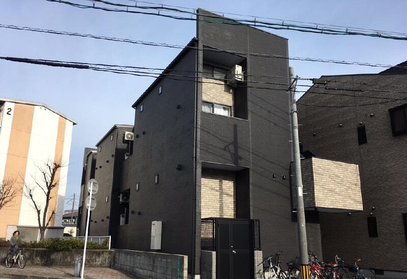 mint plus