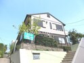 かりん