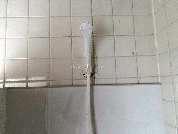 風呂画像