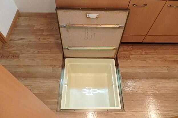 物件内観写真21　(床下収納)